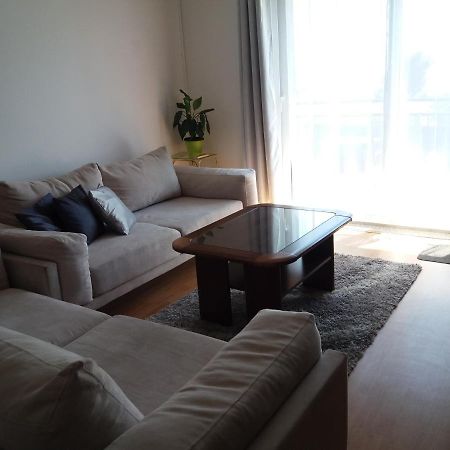 רייקה Apartment Tanya מראה חיצוני תמונה